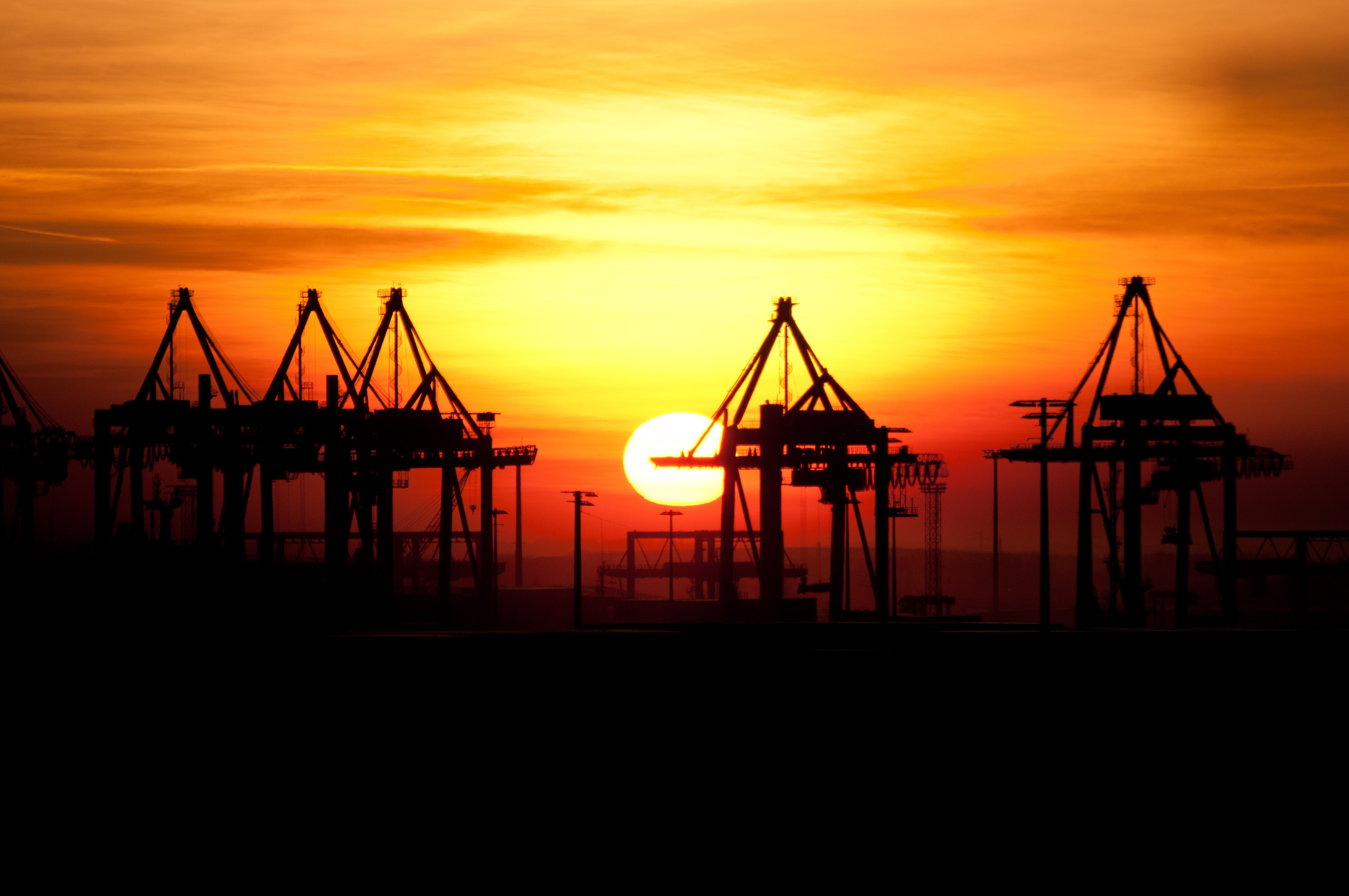 The experts in sea freight.